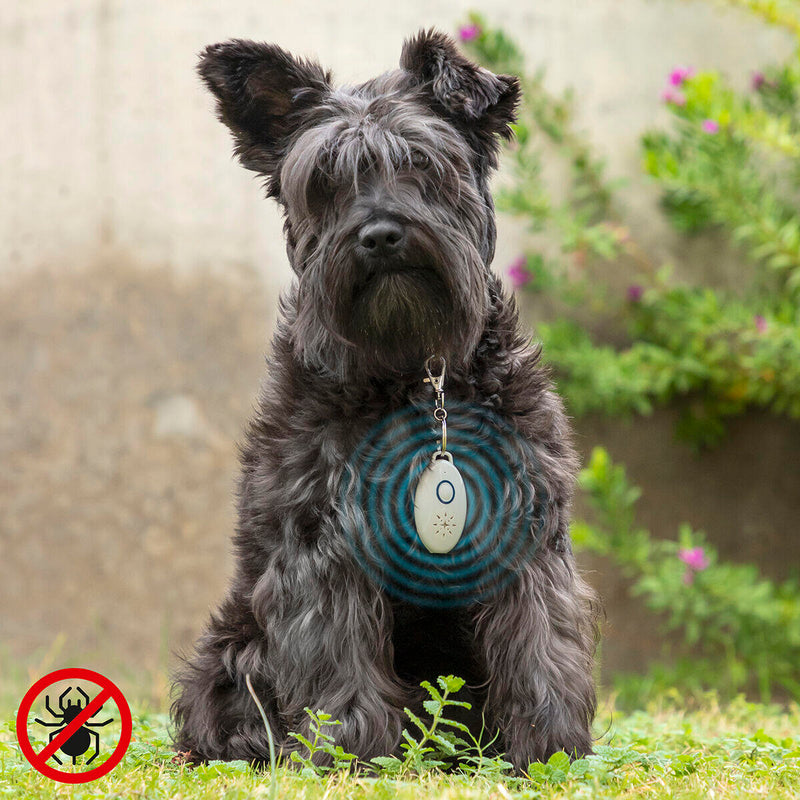 PetRep Ultrassónico